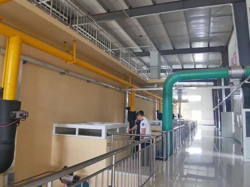 防汛保民生，饮水更无忧——白沟新城民生保障局全力筑牢供水安全防线