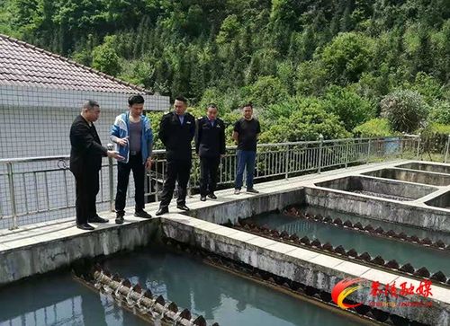 茶陵县开展集中式供水单位专项监督检查，筑牢饮水安全防线
