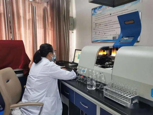 民乐县水务局强化行业监管，筑牢农村饮水安全基石——聚焦集中式供水保障